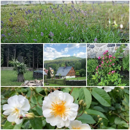 Am Waldessaum Kurort Oybin