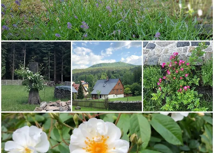 Am Waldessaum كورورت أوبين